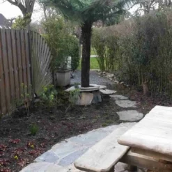 Grote Boomvaren (Dicksonia Antarctica) -Tuin Puur Verkoop dicksonia antartica 1